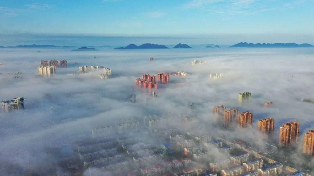 逃离游戏研究中心