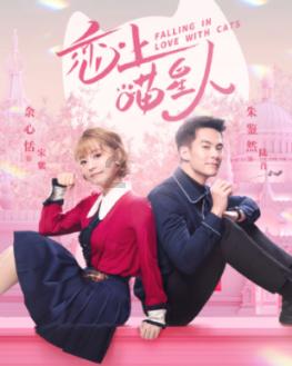 悲伤兔大冒险